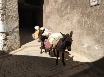 They still use donkeys to transport materials in the medina because of the narrow alleys and stairs. It was hilarious seeing men riding them too